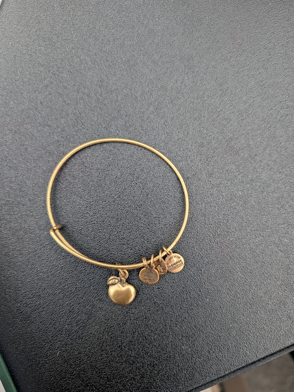 Alex and Ani Apple of Abundance Charm Bangle Bracelet – Rafaelian Gold